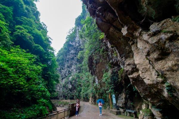夏之许诺